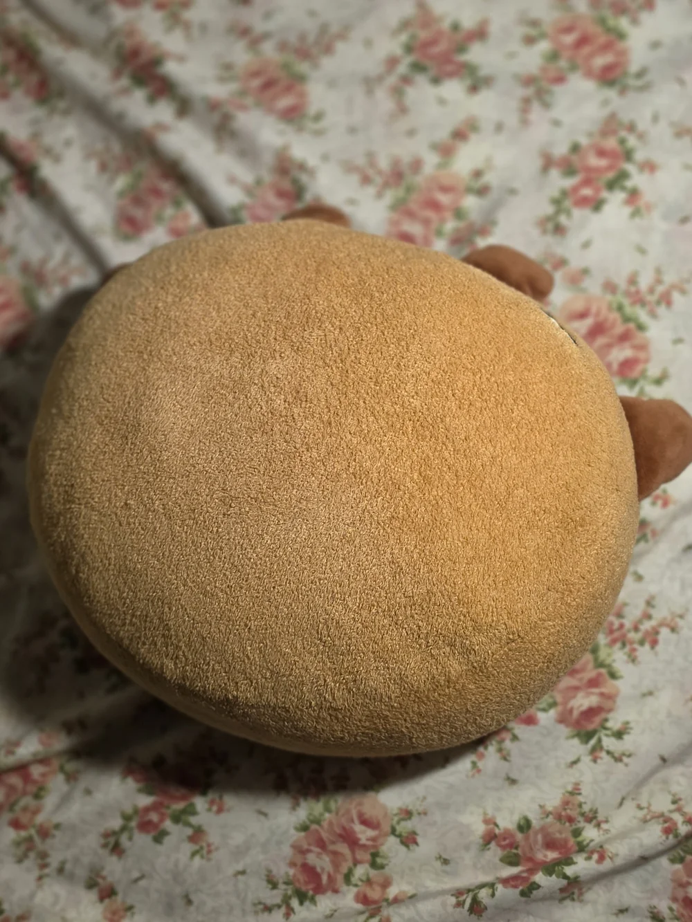 SHOOKy Plush Decorative Pillow - Tan